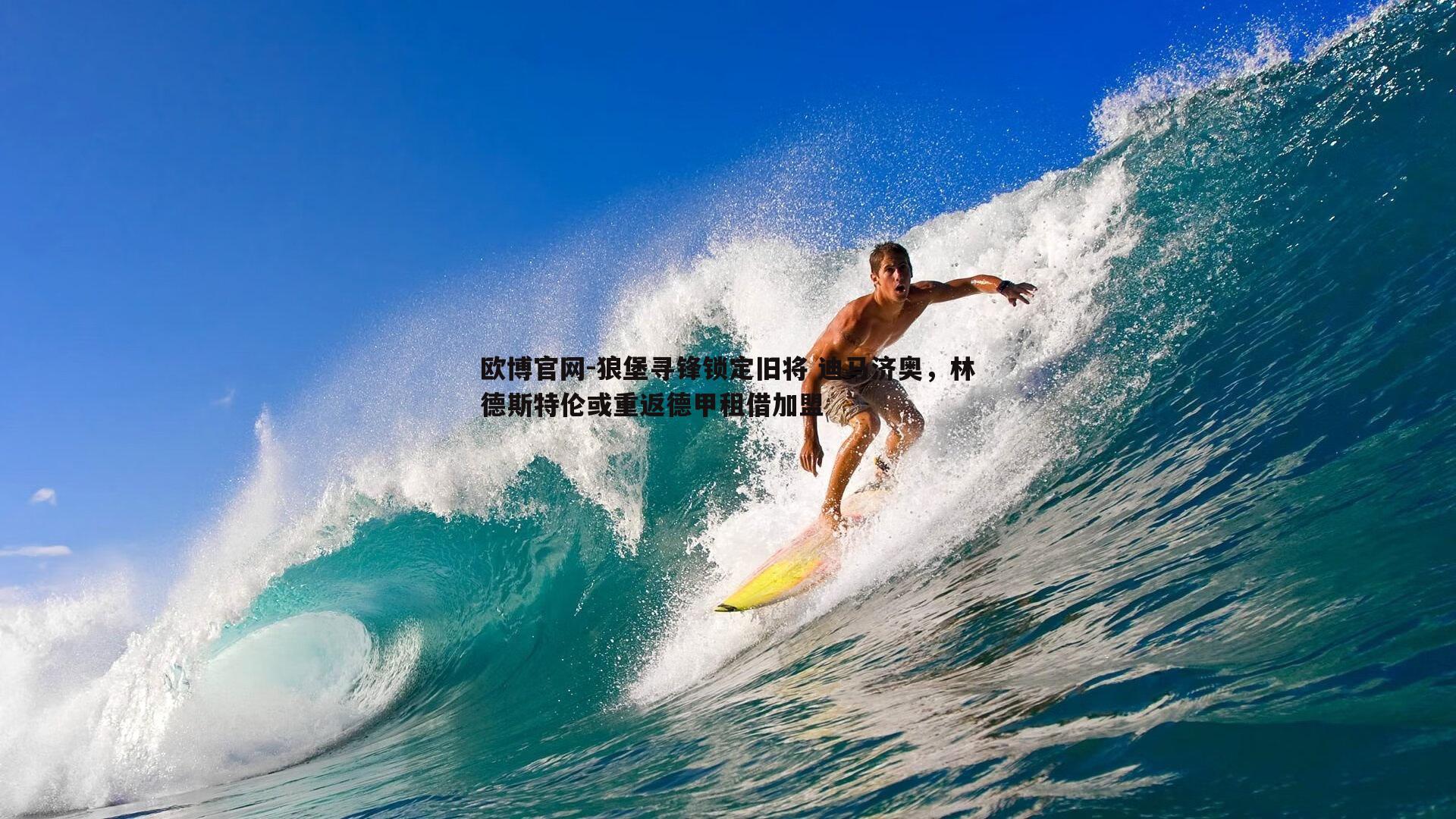 狼堡寻锋锁定旧将 迪马济奥，林德斯特伦或重返德甲租借加盟